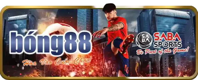Sự kiện đá gà đặc biệt